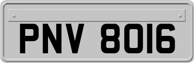 PNV8016
