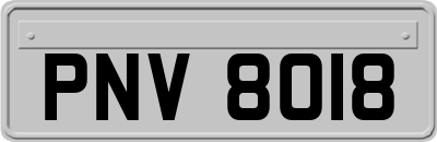PNV8018