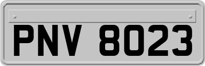PNV8023