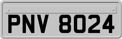 PNV8024