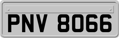PNV8066