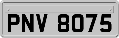 PNV8075