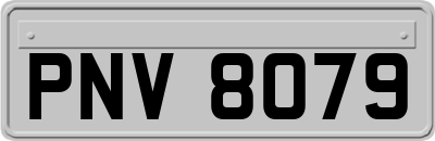 PNV8079