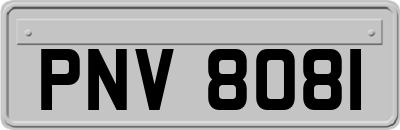 PNV8081