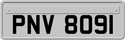 PNV8091
