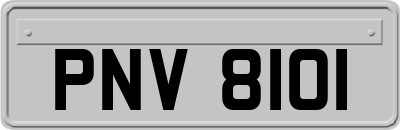 PNV8101