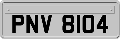 PNV8104