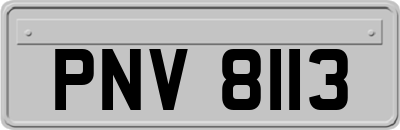 PNV8113