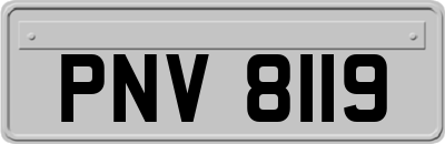 PNV8119