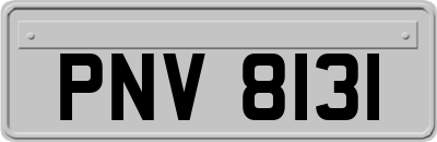 PNV8131