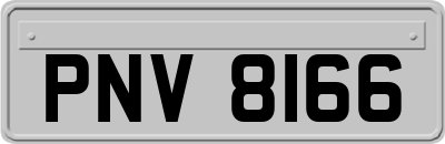PNV8166