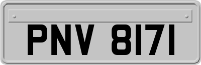 PNV8171