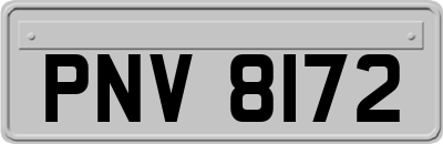 PNV8172