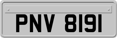 PNV8191
