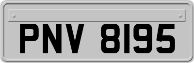 PNV8195