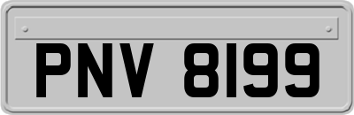 PNV8199
