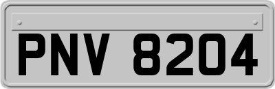 PNV8204