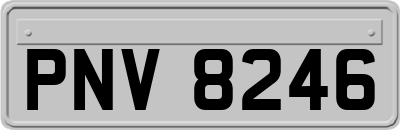 PNV8246