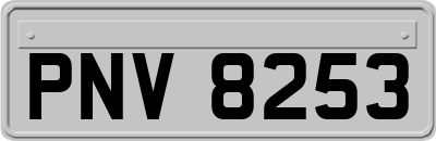 PNV8253