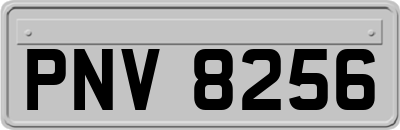 PNV8256