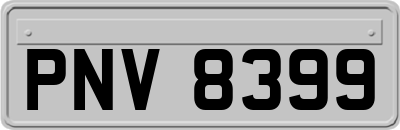 PNV8399