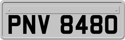 PNV8480