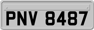 PNV8487