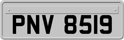 PNV8519