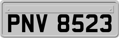 PNV8523