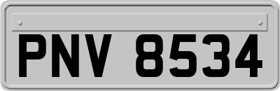 PNV8534