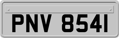 PNV8541