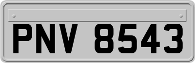 PNV8543