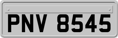 PNV8545