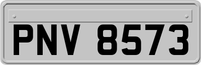 PNV8573