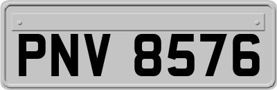 PNV8576
