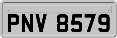 PNV8579