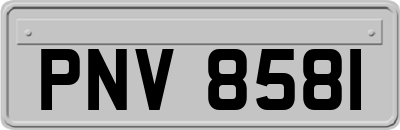 PNV8581