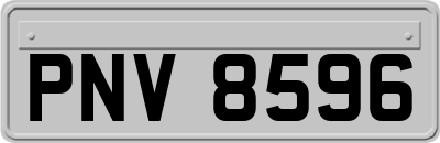 PNV8596