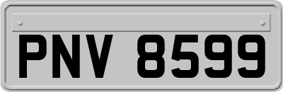 PNV8599