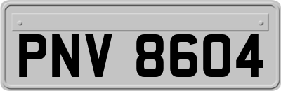 PNV8604