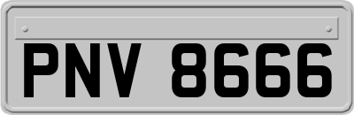 PNV8666