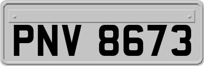 PNV8673