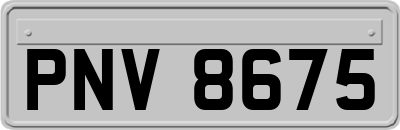 PNV8675