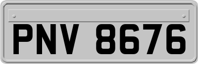 PNV8676