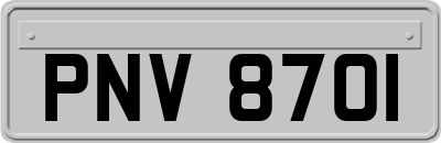 PNV8701