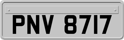 PNV8717