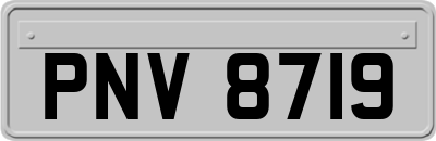 PNV8719