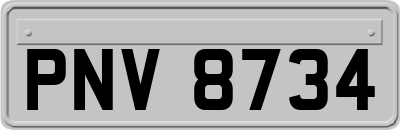PNV8734