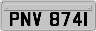 PNV8741