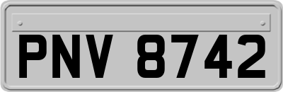 PNV8742